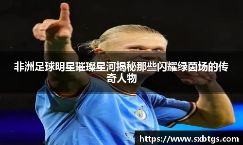 非洲足球明星璀璨星河揭秘那些闪耀绿茵场的传奇人物